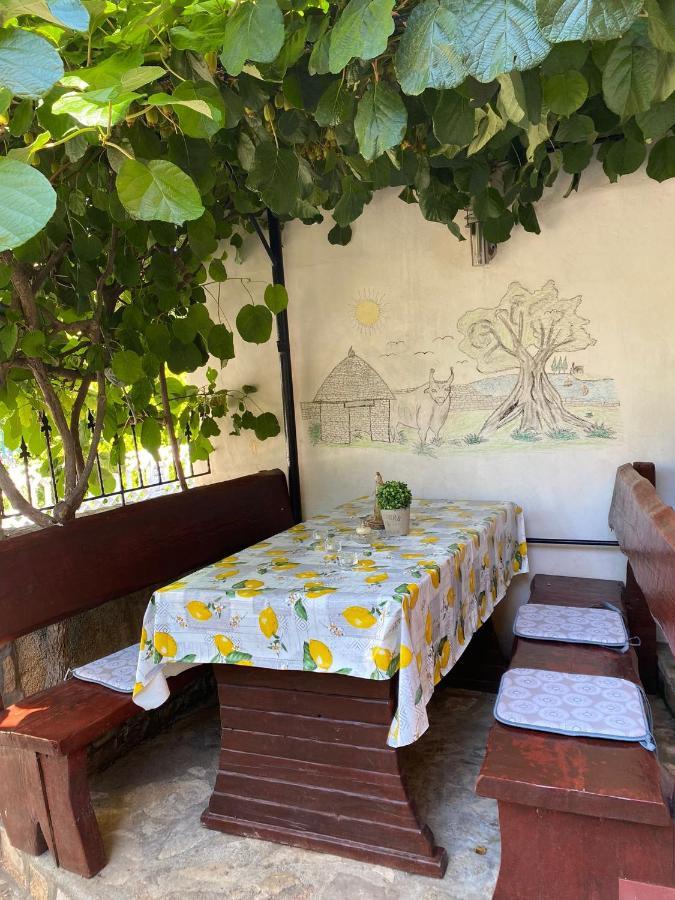 Studio Apartment Elsa Galizana Exterior photo